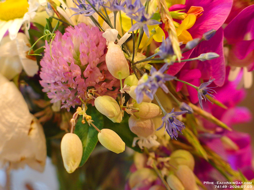 74149LeUsm - The bouquet that Tobi picked for Megan